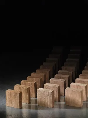 Oak blocks, NEKTAR, french, medium (47*47*17 mm) 5 kg/sack