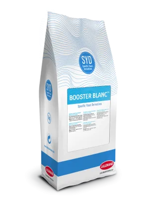 BOOSTER BLANC 2,5 kg
