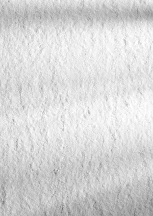 Carlson XE675H 40x40 cm 25 pcs/pack