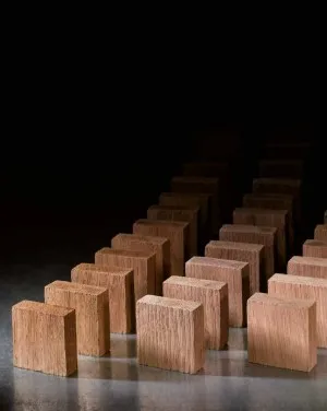 Oak blocks, NEKTAR, french, light (47*47*17 mm) 5 kg/sack